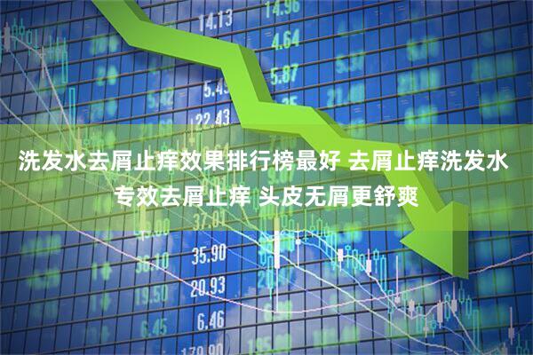 洗发水去屑止痒效果排行榜最好 去屑止痒洗发水 专效去屑止痒 头皮无屑更舒爽