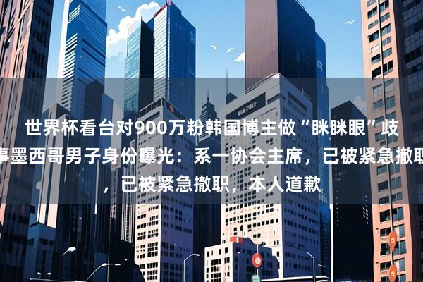 世界杯看台对900万粉韩国博主做“眯眯眼”歧视动作，涉事墨西哥男子身份曝光：系一协会主席，已被紧急撤职，本人道歉
